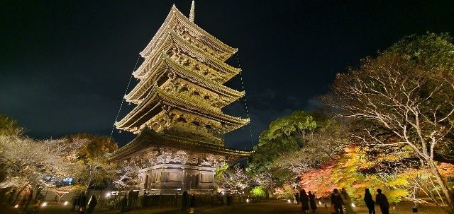 京都 東寺 紅葉ライトアップが美しすぎて痺れる 紅葉の京都ひとり旅 旅人サイファのお出かけブログ