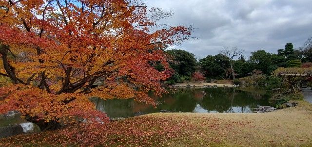 f:id:traveler-cipher:20220217110757j:image f:id:traveler-cipher:20220217110757j:image