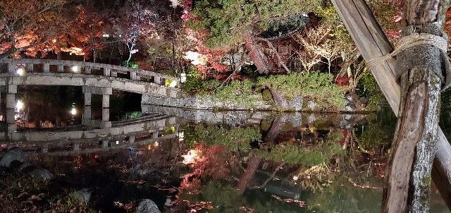 f:id:traveler-cipher:20220311062741j:image f:id:traveler-cipher:20220311062741j:image