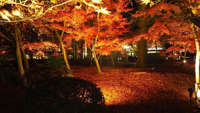 f:id:traveler-cipher:20220311062945j:image f:id:traveler-cipher:20220311062945j:image