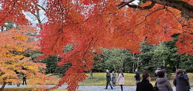 f:id:traveler-cipher:20220313183200j:image f:id:traveler-cipher:20220313183200j:image