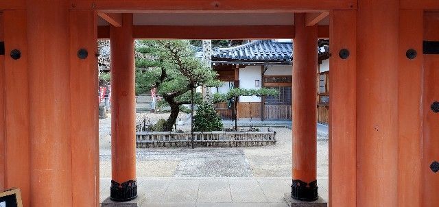 f:id:traveler-cipher:20220424055740j:image