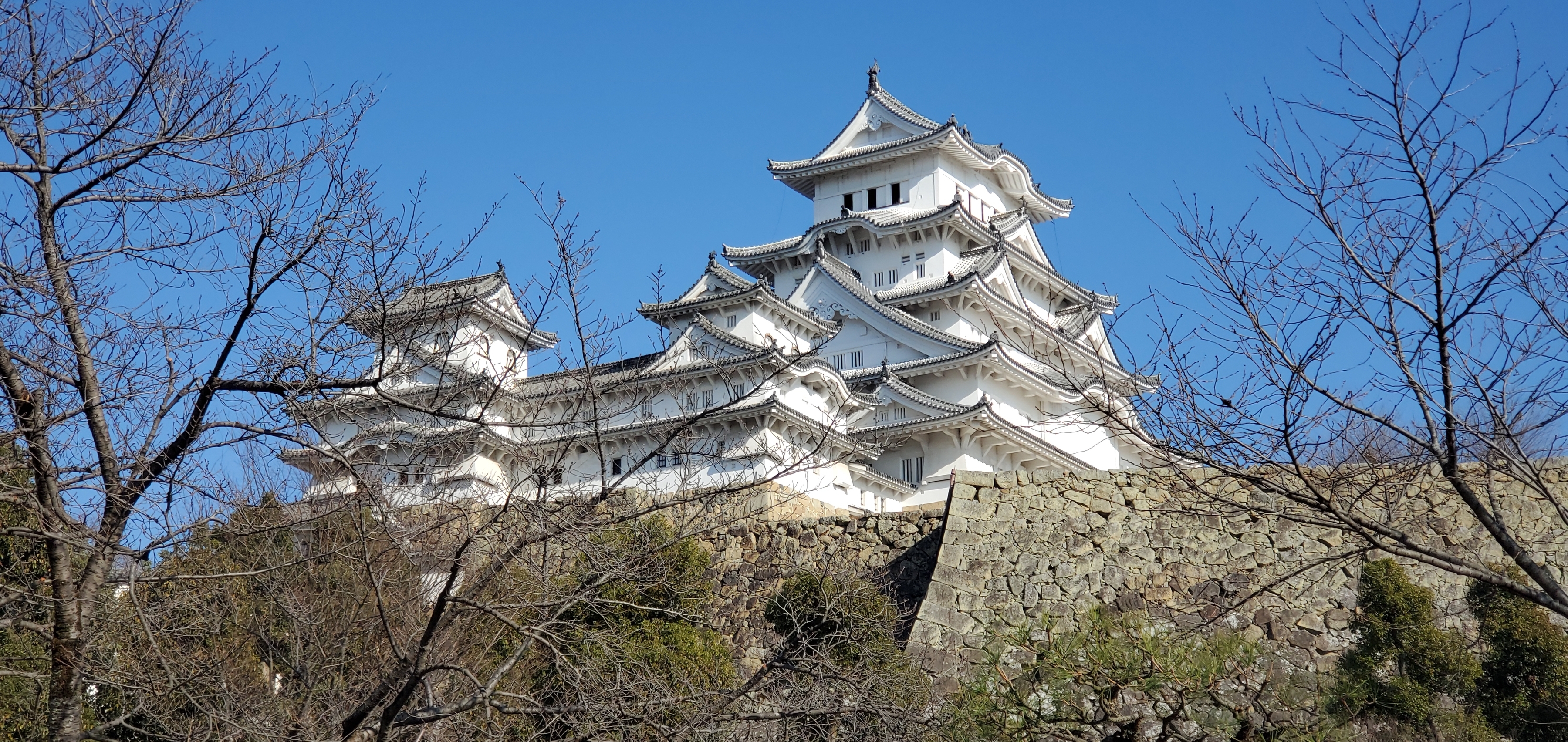 まさに白鷺が舞う！『姫路城』と初詣に2つの神社へ！【年末年始