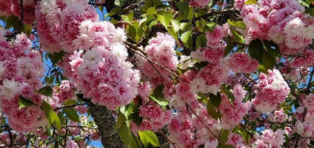 f:id:traveler-cipher:20220706213528j:image