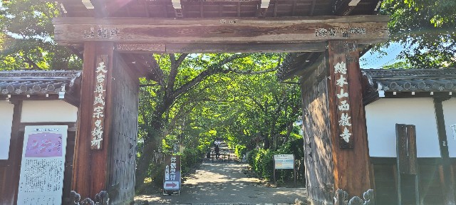 f:id:traveler-cipher:20220812072526j:image