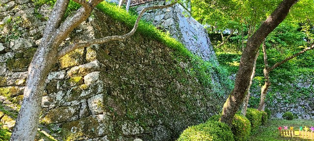 f:id:traveler-cipher:20220812072644j:image