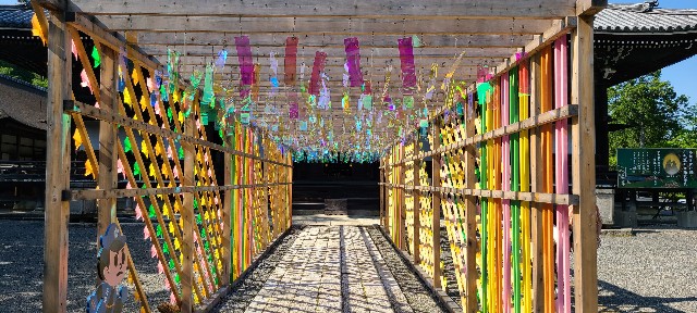 f:id:traveler-cipher:20220812072659j:image