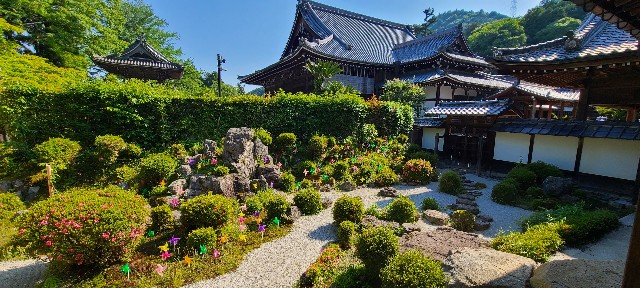 f:id:traveler-cipher:20220812072809j:image