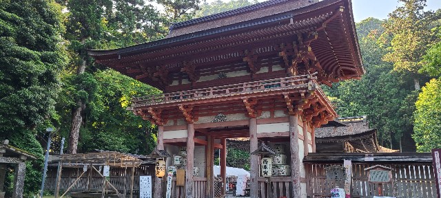 f:id:traveler-cipher:20220812080039j:image