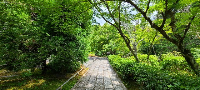 f:id:traveler-cipher:20220816184732j:image