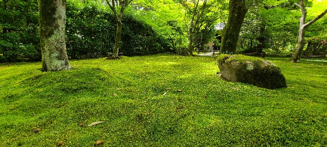 f:id:traveler-cipher:20220816185633j:image