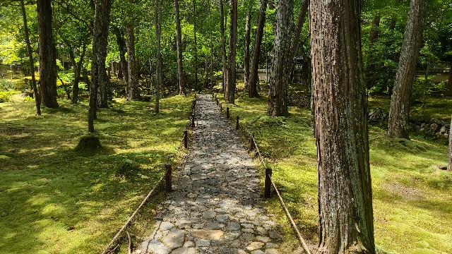 f:id:traveler-cipher:20220816185654j:image