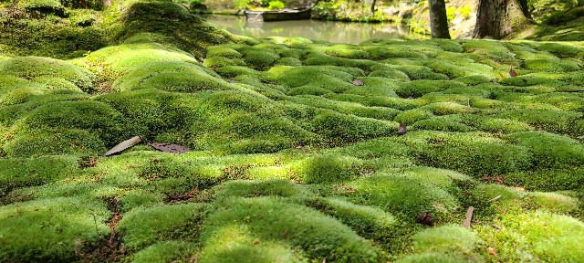 f:id:traveler-cipher:20220816190023j:image