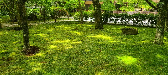 f:id:traveler-cipher:20220816190050j:image