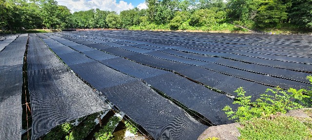 f:id:traveler-cipher:20221009210228j:image f:id:traveler-cipher:20221009210228j:image