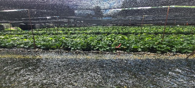 f:id:traveler-cipher:20221009210245j:image f:id:traveler-cipher:20221009210245j:image