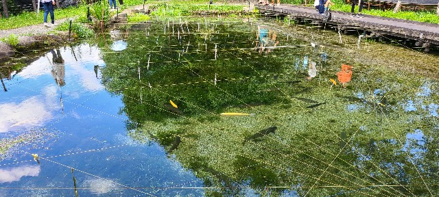 f:id:traveler-cipher:20221010105332j:image f:id:traveler-cipher:20221010105332j:image