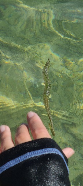 f:id:traveler-cipher:20221016225047j:image