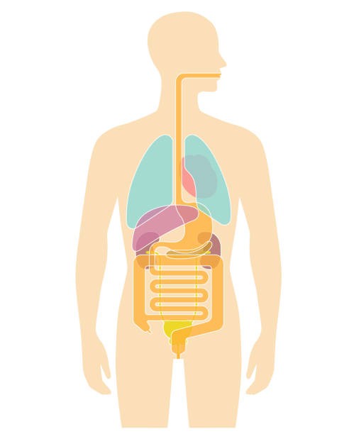 f:id:traveler-cipher:20230226180350j:image