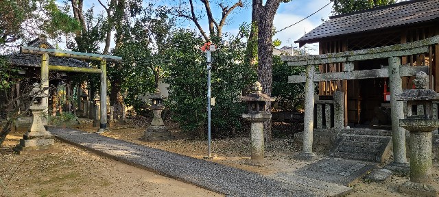 f:id:traveler-cipher:20230328064926j:image