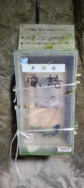 f:id:traveler-cipher:20230409175933j:image