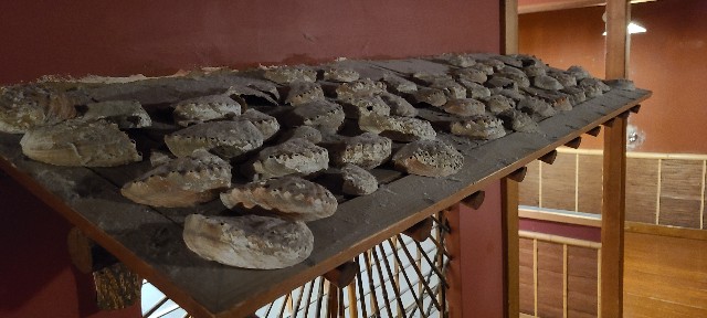 f:id:traveler-cipher:20230424210331j:image f:id:traveler-cipher:20230424210331j:image