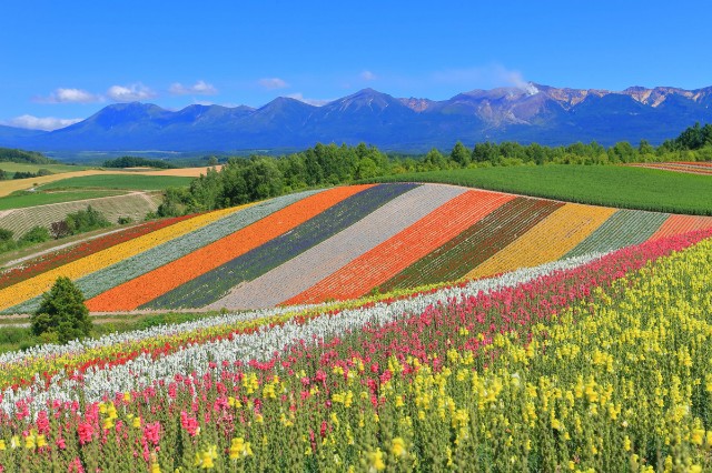 f:id:traveler-cipher:20230604065832j:image