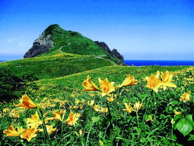 f:id:traveler-cipher:20230717111356j:image f:id:traveler-cipher:20230717111356j:image