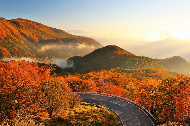 日本の秋・厳選風景16年【 風景写真 9-10月号　2007〜2022年】16冊 日本の秋・厳選風景16年【 風景写真 9-10月号 2007〜2022年】16冊 本