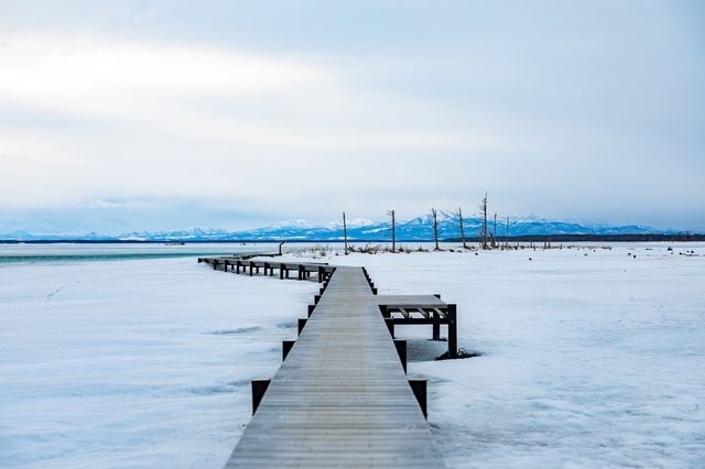 f:id:traveler-cipher:20231203212915j:image f:id:traveler-cipher:20231203212915j:image