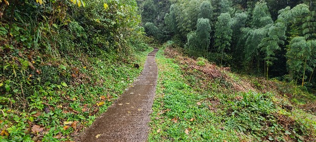 f:id:traveler-cipher:20240320165935j:image