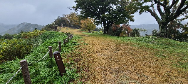 f:id:traveler-cipher:20240320170050j:image