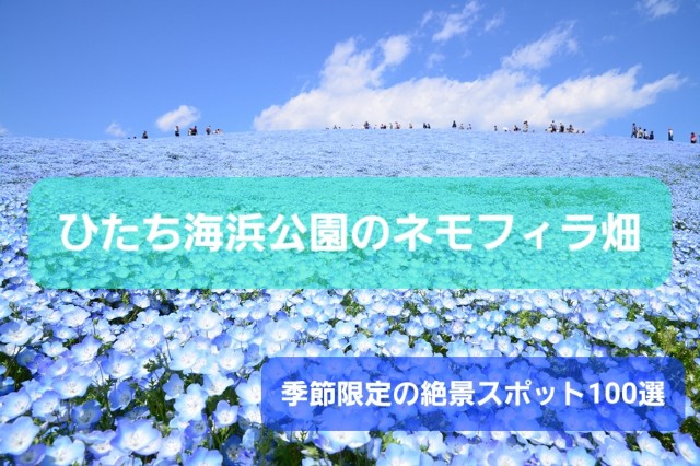 f:id:traveler-cipher:20240324163116j:image f:id:traveler-cipher:20240324163116j:image
