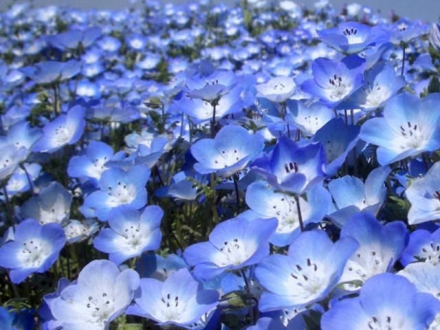 f:id:traveler-cipher:20240324163322j:image f:id:traveler-cipher:20240324163322j:image