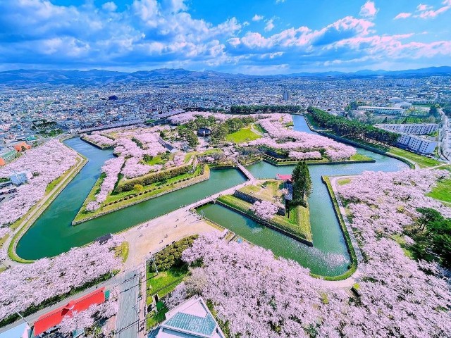 春の絶景】『五稜郭の桜』～季節限定の絶景スポット100選～【東日本編