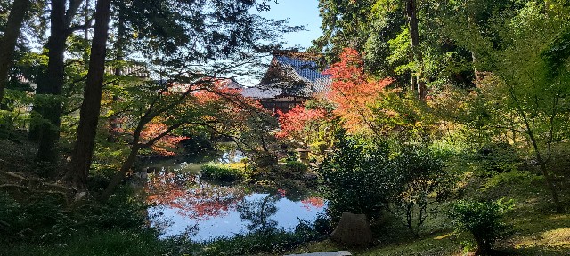 f:id:traveler-cipher:20240513064458j:image