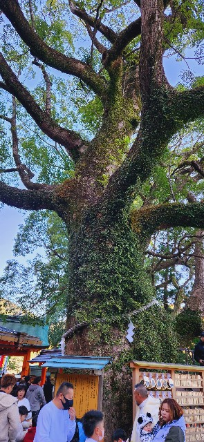 f:id:traveler-cipher:20240616090021j:image
