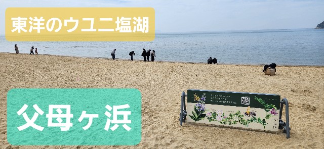 f:id:traveler-cipher:20240831223633j:image