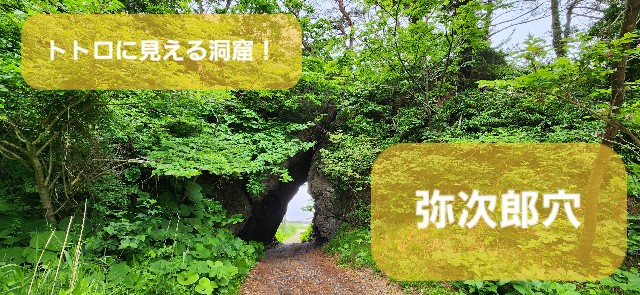 f:id:traveler-cipher:20241115125627j:image