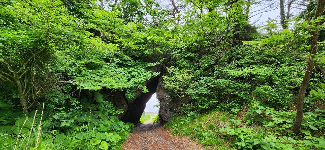 f:id:traveler-cipher:20241116104858j:image
