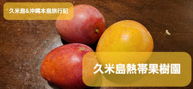 f:id:traveler-cipher:20250125202758j:image f:id:traveler-cipher:20250125202758j:image
