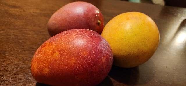 f:id:traveler-cipher:20250126164905j:image f:id:traveler-cipher:20250126164905j:image