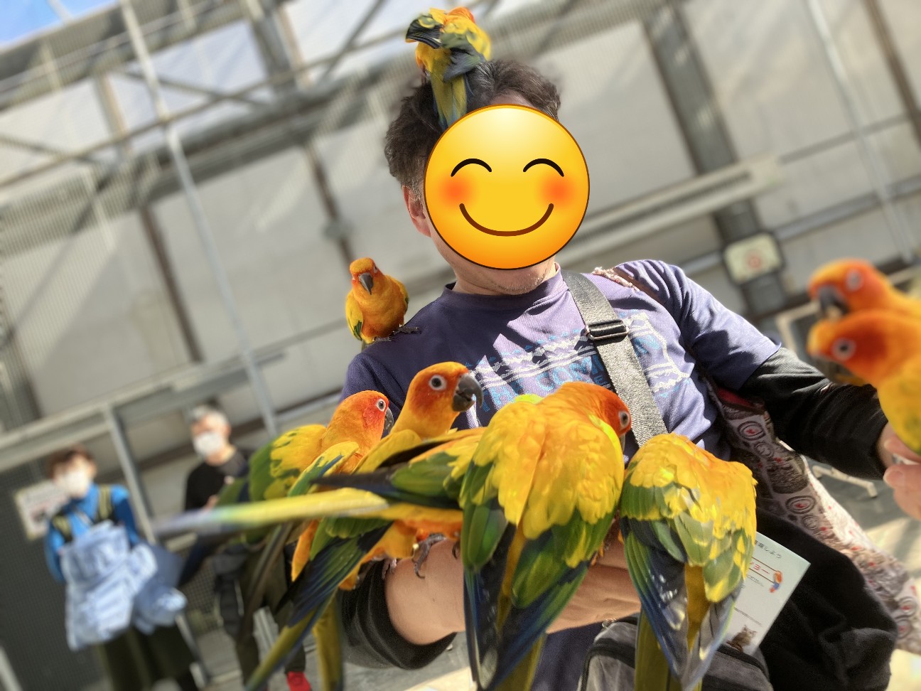 静岡】「鳥まみれ」攻略法伝授！『掛川花鳥園』で鳥まみれ体験