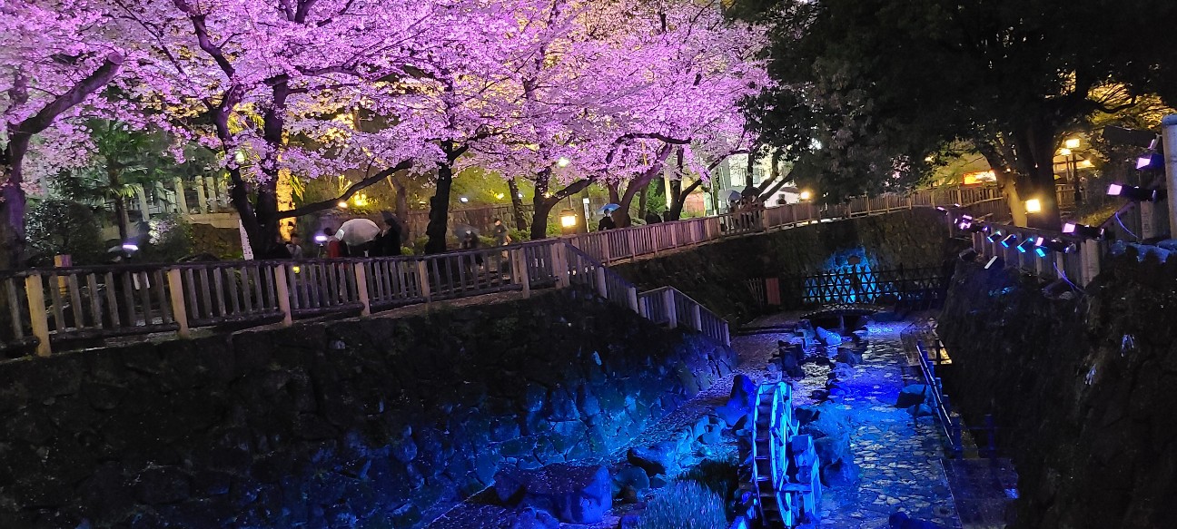 東京】『音無親水公園ライトアップ』はJR王子駅直結！ - 旅人サイファ