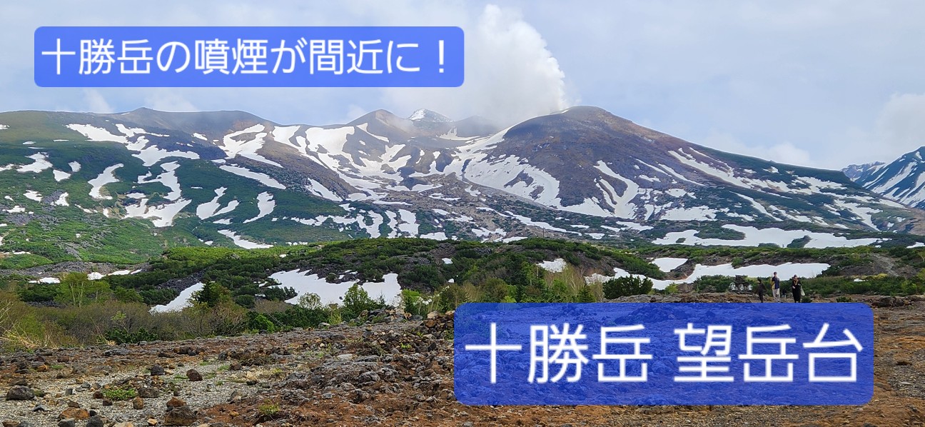 f:id:traveler-cipher:20260503180044j:image f:id:traveler-cipher:20260503180044j:image
