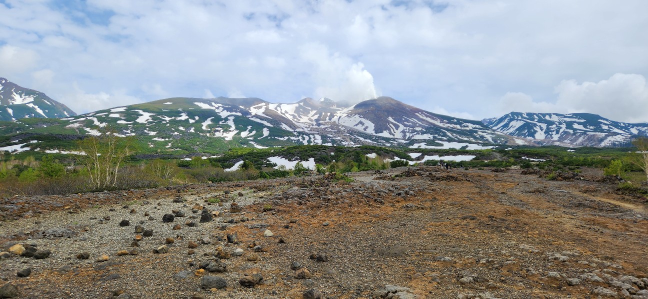 f:id:traveler-cipher:20260523110703j:image f:id:traveler-cipher:20260523110703j:image
