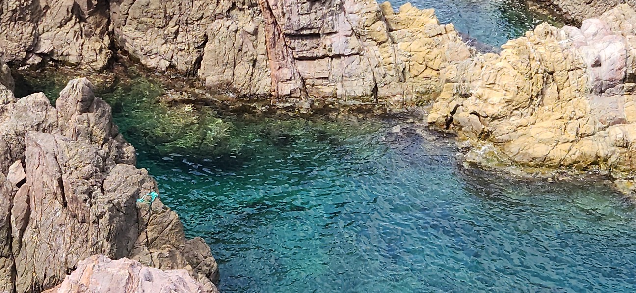 f:id:traveler-cipher:20261005075514j:image