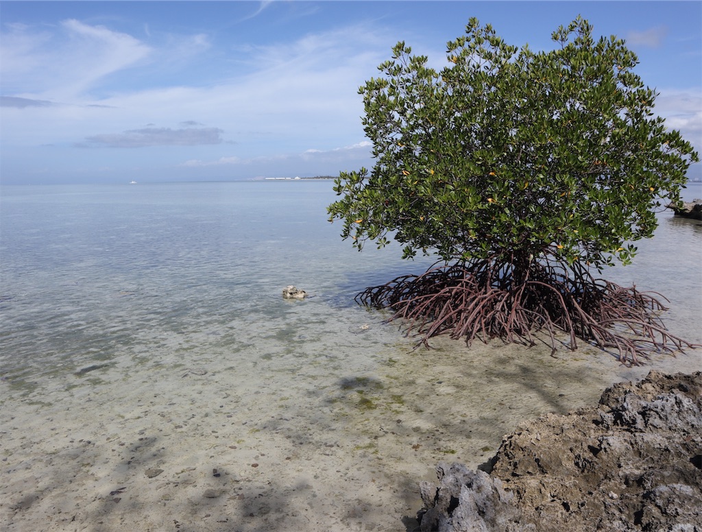 f:id:traveler_student:20190514170715j:image f:id:traveler_student:20190514170715j:image