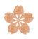 f:id:travelertoearth:20200224194122p:plain f:id:travelertoearth:20200224194122p:plain