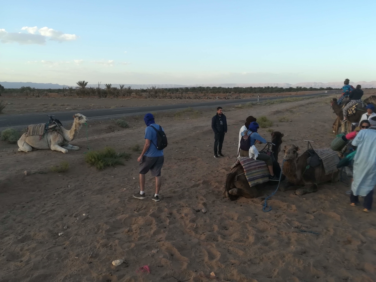 f:id:travelfufu:20200320130722j:plain